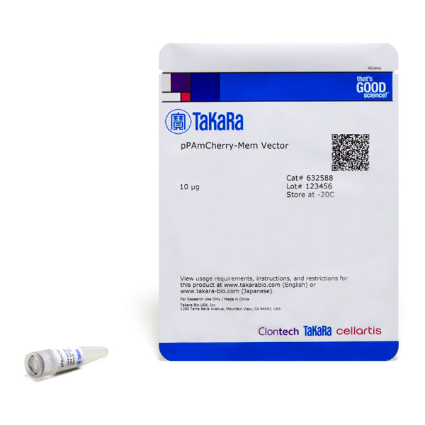 Photoactivatable mCherry fluorescent protein - Gene function - Takara Bio