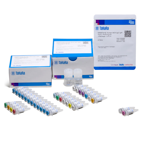 SMARTer Human BCR IgG IgM H/K/L Profiling Kit—capturing complete V(D)J variable regions of BCR transcripts - Next-generation