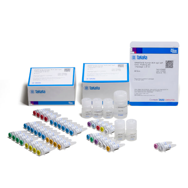 SMARTer Human BCR IgG IgM H/K/L Profiling Kit—capturing complete V(D)J variable regions of BCR transcripts - Next-generation