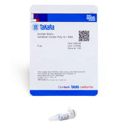 Human poly A+ RNA: brain & CNS - mRNA and cDNA synthesis - Takara Bio
