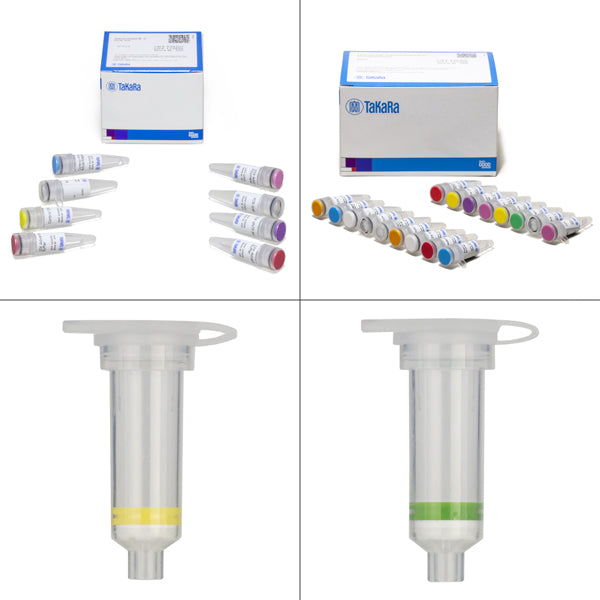 GenomeWalker kit: Identify sequences near your gene of interest - mRNA and cDNA synthesis - Takara Bio