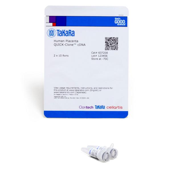 Tissue-specific human cDNA: reproductive system - mRNA and cDNA synthesis - Takara Bio