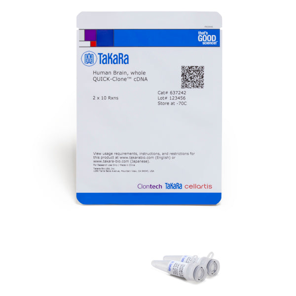 Tissue-specific human cDNA: brain & CNS - mRNA and cDNA synthesis - Takara Bio