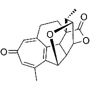 Harringtonolide