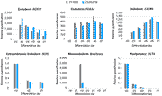 hiPSC to definitive endoderm differentiation kit - Stem cell research - Takara Bio