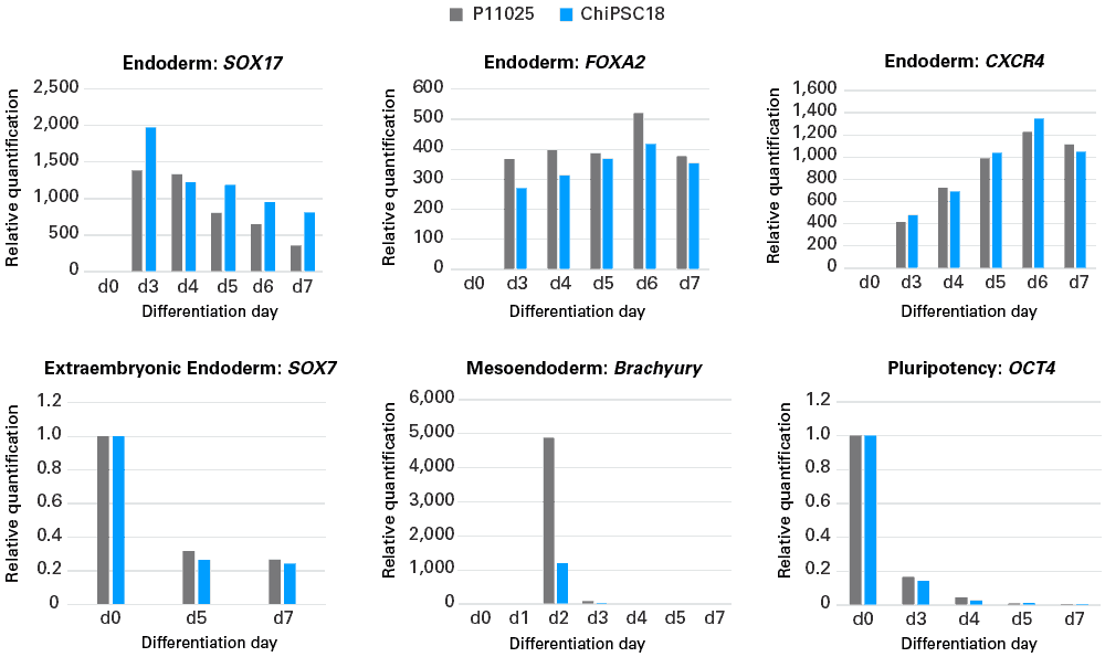 hiPSC to definitive endoderm differentiation kit - Stem cell research - Takara Bio