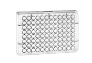 MICROPLATE, 96 WELL, PS, U-BOTTOM, CLEAR,  - 96 Well Elisa Microplates - Greiner Bio-One