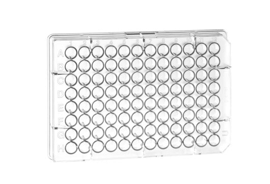CELL CULTURE MICROPLATE, 96 WELL, PS, U-BOTTOM,  - 96 Well Cell Culture Microplates Clear - Greiner Bio-One