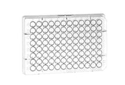 MICROPLATE, 96 WELL, PS, U-BOTTOM, CLEAR,  - 96 Well Microplates Clear - Greiner Bio-One