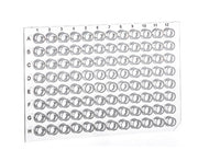 SAPPHIRE MICROPLATE, 96 WELL, PP, FOR PCR,  - Pcr Microplates - Greiner Bio-One