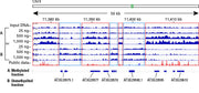 EpiXplore Meth-Seq DNA Enrichment Kit - Next-generation sequencing - Takara Bio