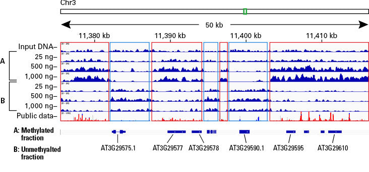 EpiXplore Meth-Seq DNA Enrichment Kit - Next-generation sequencing - Takara Bio