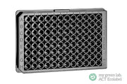 CELL CULTURE MICROPLATE, 96 WELL, PS, F-BOTTOM - 96 Well Cell Culture Microplates Clear - Greiner Bio-One