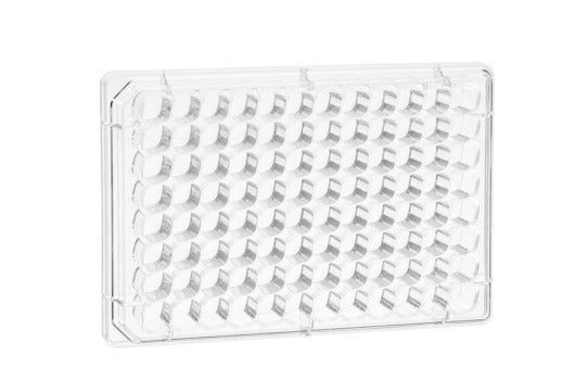 THINCERT 96 WELL HTS INSERT, TC, STERILE,  - Thincert 96 Well Hts Insert - Greiner Bio-One