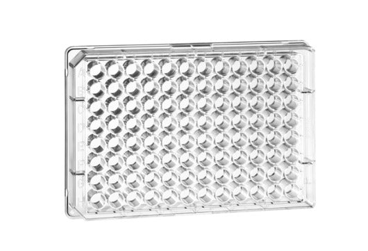 UV-STAR® MICROPLATE, 96 WELL, COC, F-BOTTOM - 96 Well Uv Star Microplate - Greiner Bio-One