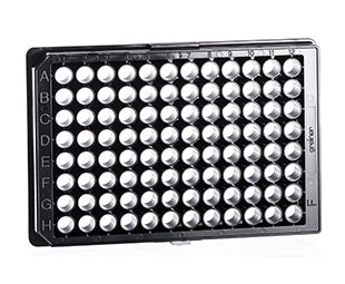 CELL CULTURE MICROPLATE, 96 WELL, PS, F-BOTTOM - Poly L Lysine Cellcoat - Greiner Bio-One