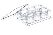 THINCERT PLATE, 6 WELL, PS, LID, STERILE,  - Thincert Plate - Greiner Bio-One