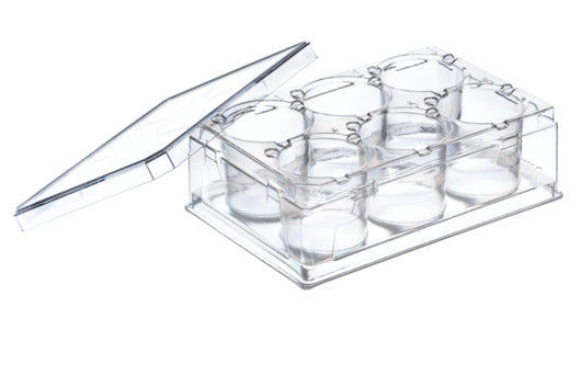 THINCERT PLATE, 6 WELL, PS, LID, STERILE,  - Thincert Plate - Greiner Bio-One