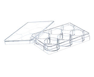 CELL CULTURE MULTIWELL PLATE, 6 WELL, PS, CLEAR,  - Cell Culture Multiwell Plates - Greiner Bio-One