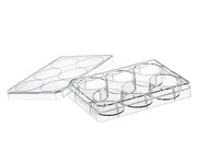 MULTIWELL PLATE FOR SUSPENSION CULTURE, 6 WELL,  - Cell Culture Multiwell Plates - Greiner Bio-One