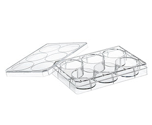 MULTIWELL PLATE FOR SUSPENSION CULTURE, 6 WELL,  - Cell Culture Multiwell Plates - Greiner Bio-One