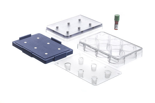 6 WELL BIO-ASSEMBLER KIT, CLEAR,  - Magnetic 3D Cell Culturing - Greiner Bio-One