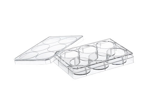 CELL CULTURE MULTIWELL PLATE, 6 WELL, PS, CLEAR,  - Collagen Type1 Cellcoat - Greiner Bio-One