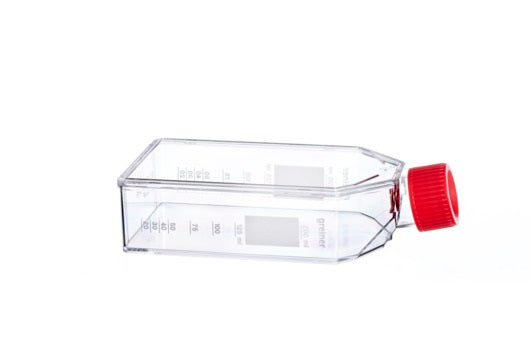 CELL CULTURE FLASK, 250 ML, 75 CM², PS,  - Fibronectin Cellcoat - Greiner Bio-One