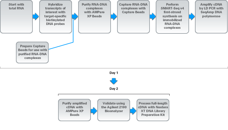 SMARTer Target RNA Capture for Illumina - Next-generation sequencing - Takara Bio