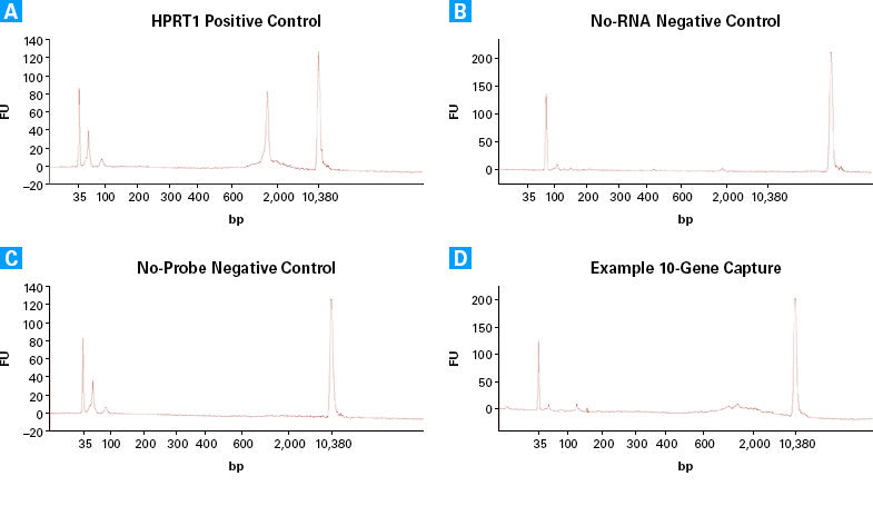 SMARTer Target RNA Capture for Illumina - Next-generation sequencing - Takara Bio
