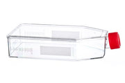 CELL CULTURE FLASK, 650 ML, 175 CM², PS,  - Cell Culture Flasks - Greiner Bio-One