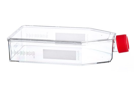 CELL CULTURE FLASK, 650 ML, 175 CM², PS,  - Cell Culture Flasks - Greiner Bio-One
