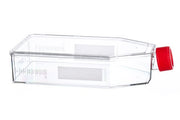 CELL CULTURE FLASK, 650 ML, 175 CM², PS,  - Poly D Lysine Cellcoat - Greiner Bio-One