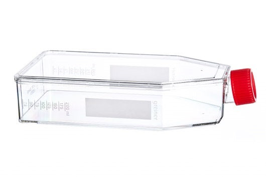 CELL CULTURE FLASK, 650 ML, 175 CM², PS,  - Poly D Lysine Cellcoat - Greiner Bio-One