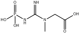 Phosphocreatine