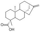Kaurenoic acid