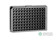 CELL CULTURE MICROPLATE, 96 WELL, PS, HALF AREA,  - 96 Well Cell Culture Microplates Clear - Greiner Bio-One