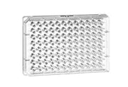 UV-STAR® MICROPLATE, 96 WELL, HALF AREA,  - 96 Well Uv Star Microplate - Greiner Bio-One
