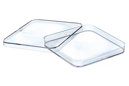 PETRI DISH, SQUARE, PS, CLEAR, 120/120/17 MM,  - Dishes - Greiner Bio-One