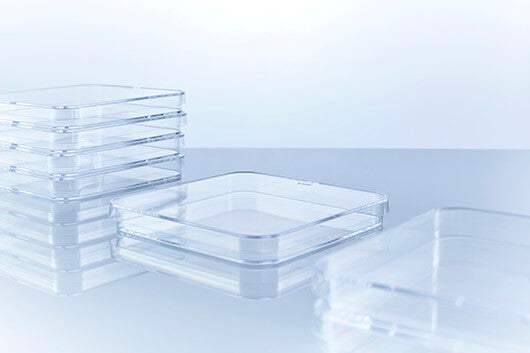 PETRI DISH, SQUARE, PS, CLEAR, 120/120/17 MM,  - Dishes - Greiner Bio-One