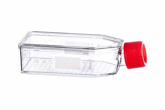 CELL CULTURE FLASK, 50 ML, 25 CM², PS,  - Cell Culture Flasks - Greiner Bio-One
