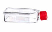 CELL CULTURE FLASK, 50 ML, 25 CM², PS,  - Cell Culture Flasks - Greiner Bio-One