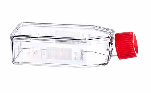 CELL CULTURE FLASK, 50 ML, 25 CM², PS,  - Cell Culture Flasks - Greiner Bio-One