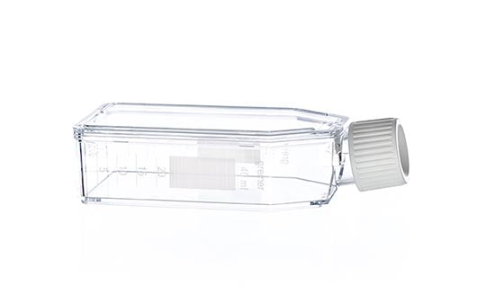 SUSPENSION CULTURE FLASK, 50 ML, PS,  - Suspensions Culture Flasks - Greiner Bio-One