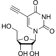 5-Ethynyluridine