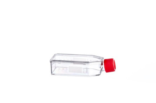 CELL CULTURE FLASK, 50 ML, 25 CM², PS,  - Collagen Type1 Cellcoat - Greiner Bio-One