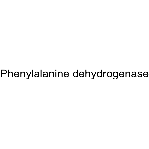 Phenylalanine dehydrogenase