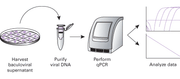 Baculovirus titration kits - Protein research - Takara Bio