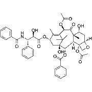 7-Epitaxol