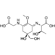 Porphyra 334